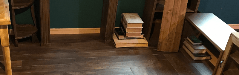 一生本好きの下剋上沼