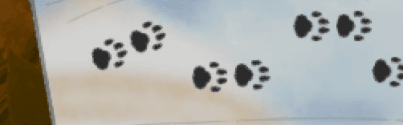 アリス・シュガード