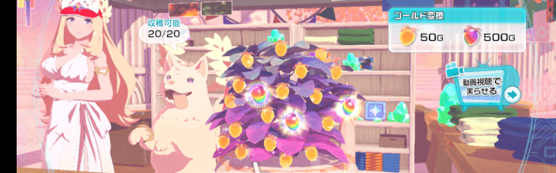 カレッジ無課金